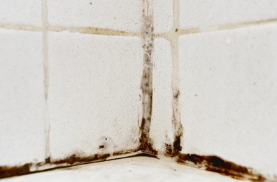 Mold on Bathroom Tile in Shower