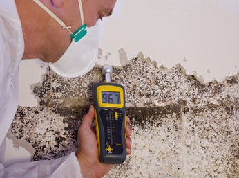 Mold Inspector testing a wall for water