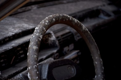 Mold on Steering Wheel