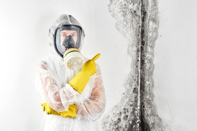 Mold Expert Looking at Mold on Wall