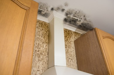 Mold on Ceiling in Kitchen
