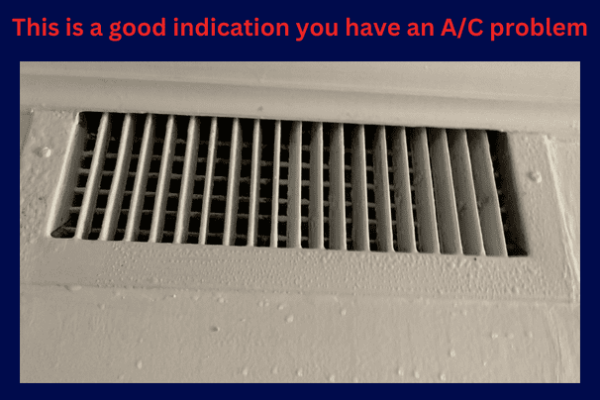 Residential mold remediation companies FL