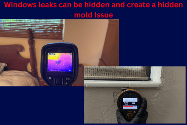 Finding Windows Leaks