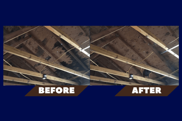 Mold in Attic Before and After