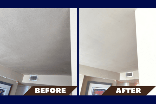 Mold inspection services Florida