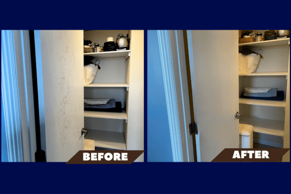 Mold on Door Befor and After Treatment