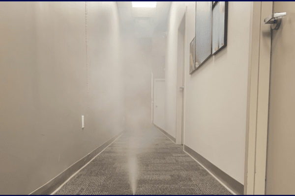 Plumbing and mold remediation