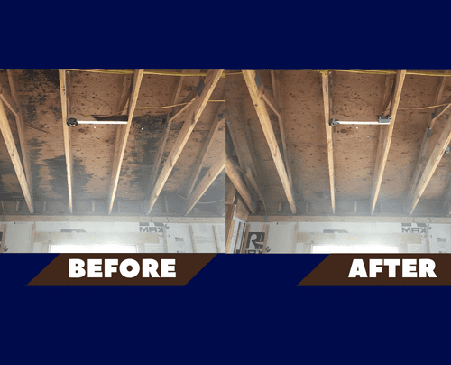 Mold from roof leak
