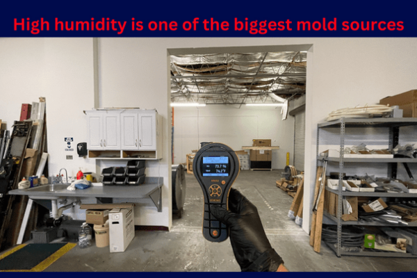Roof leak mold