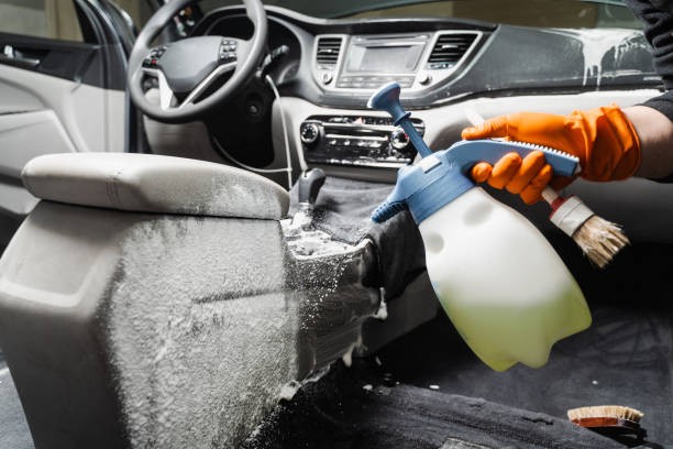 When to Seek Professional Help for Car Mold Remediation