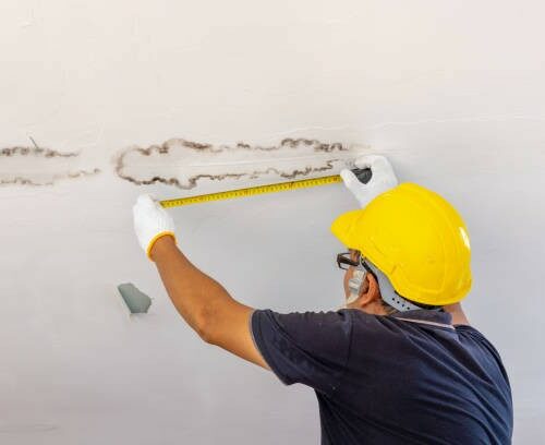 Roof leak mold