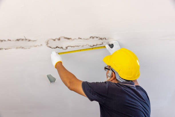 Identifying Symptoms of Mold Exposure in Your Home
