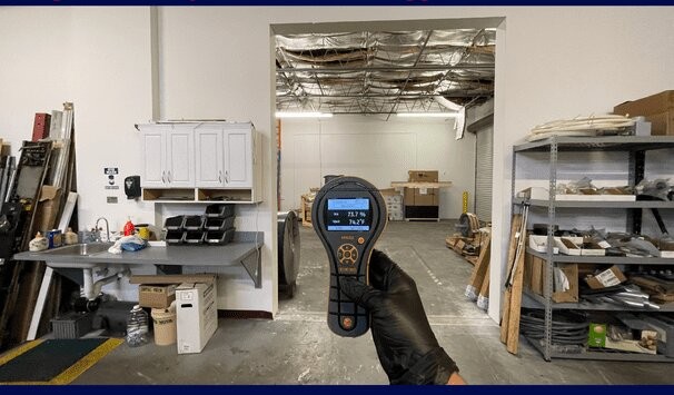 Why You Should Invest in Professional Commercial Mold Remediation Services