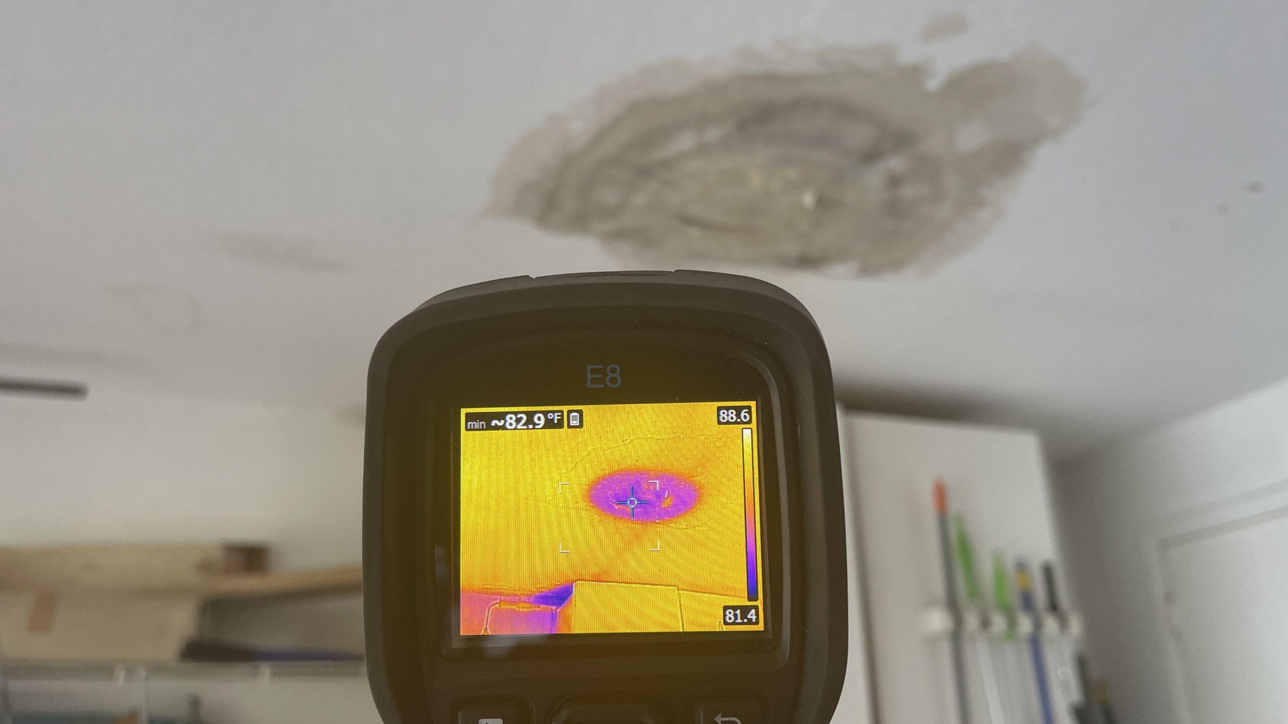 Moisture and Mold: Why Controlling Moisture is Key
