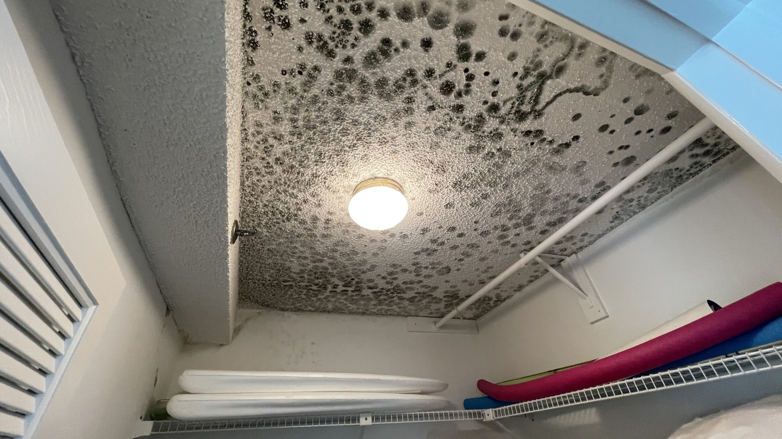 Mold In closet Sarasota Fl