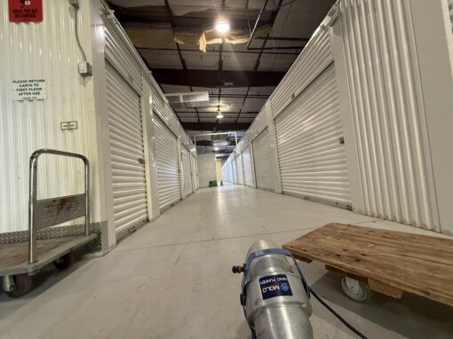 Mold in Commercial Buildings: What Business Owners Need to Know Mold in Commercial Buildings: What Business Owners Need to Know