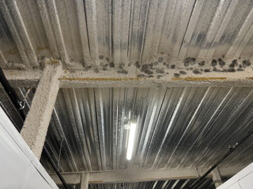 Top Strategies for Preventing Mold Growth in Commercial Facilities Top Strategies for Preventing Mold Growth in Commercial Facilities