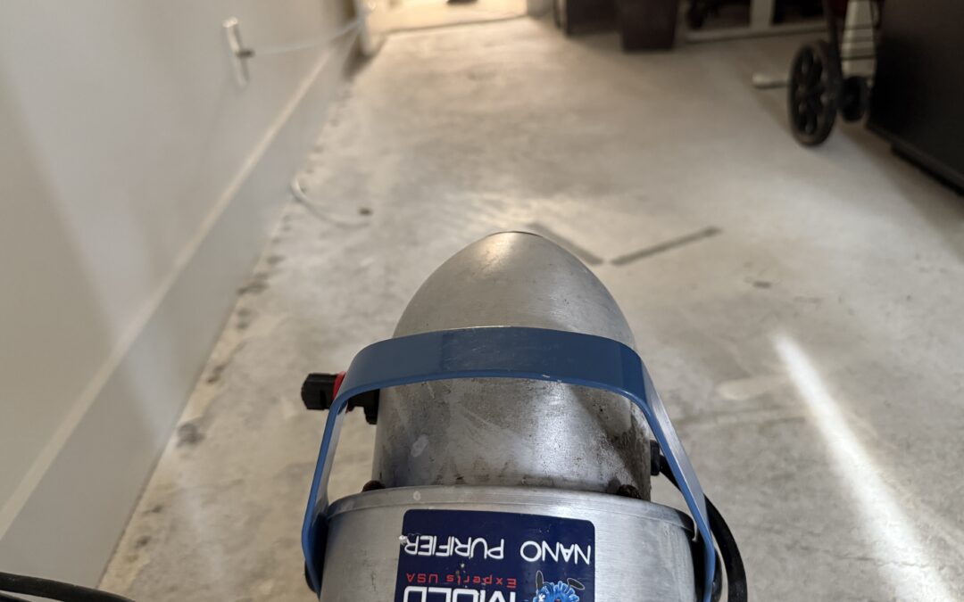 Mold Problem