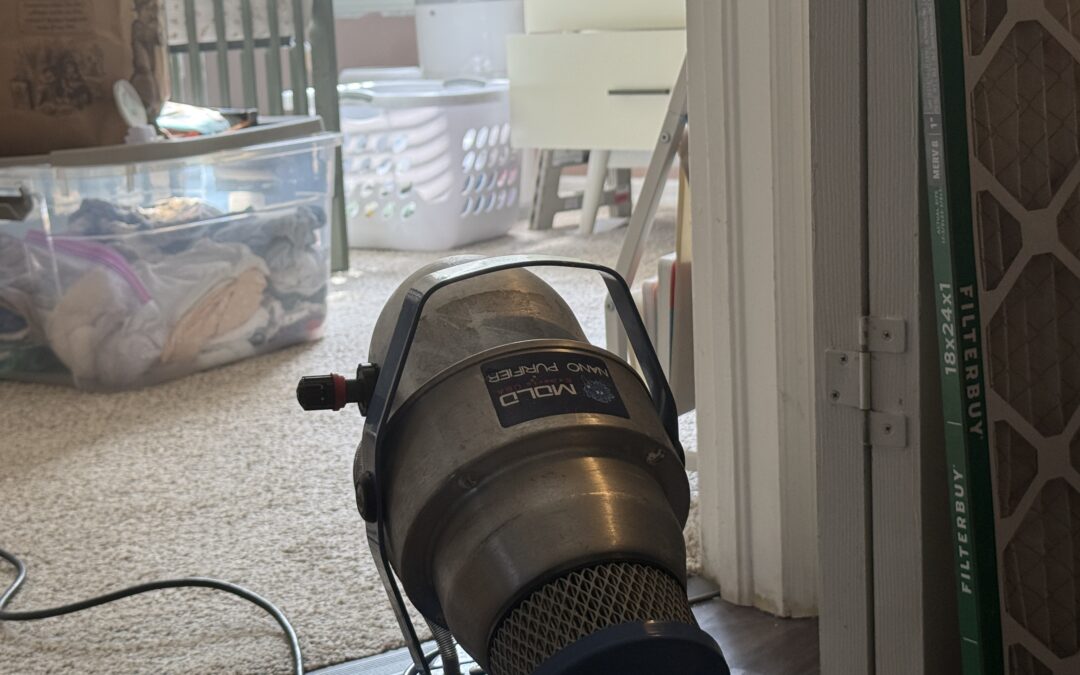 Will Your Mold Remediation Process Remove Mold Odors?