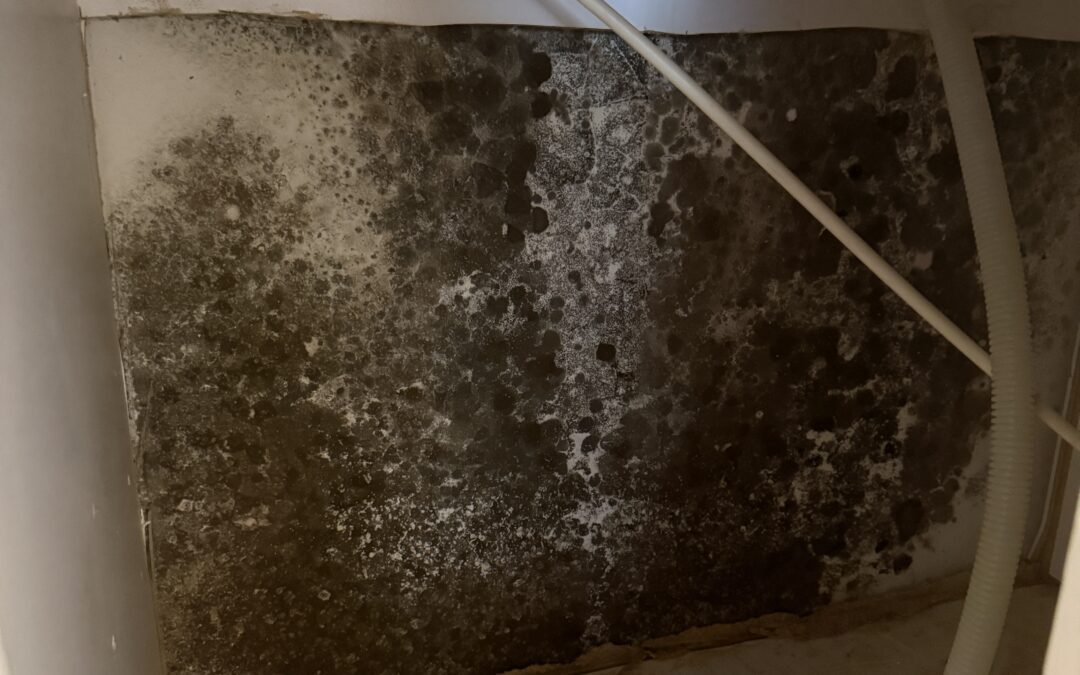 How do you set up proper containment?