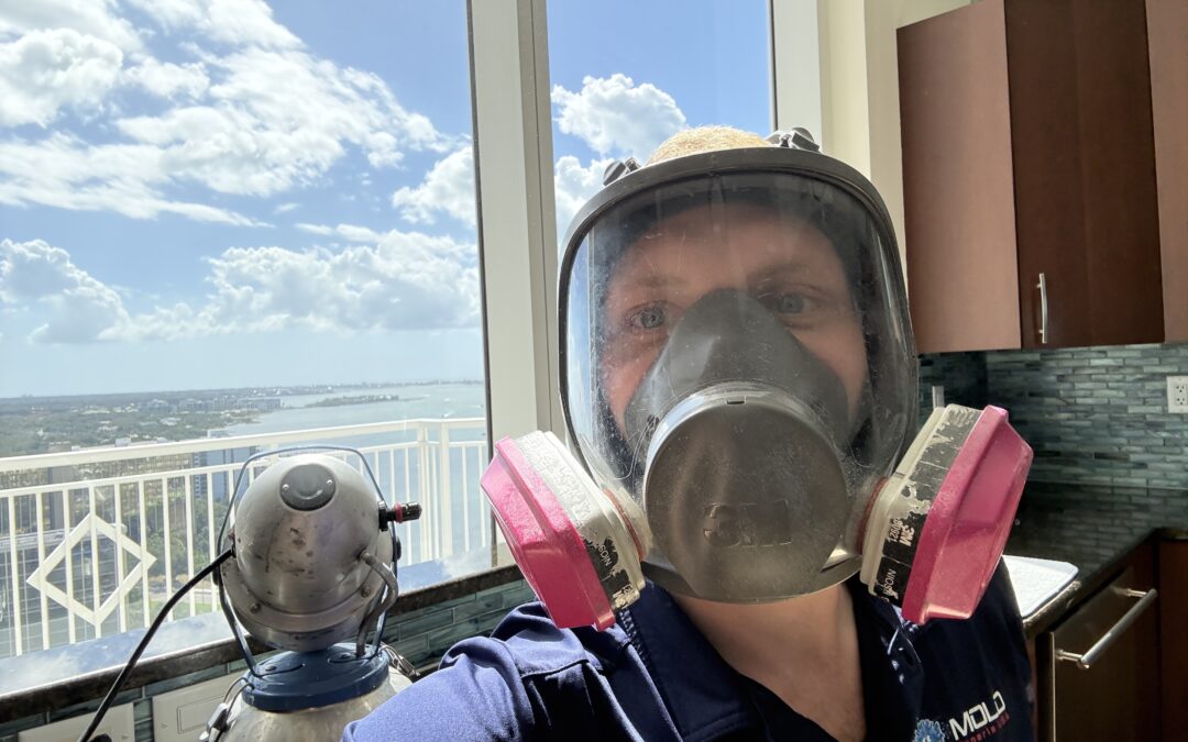 Is Smart Nano Purification Safe, Nontoxic, and EPA Approved?