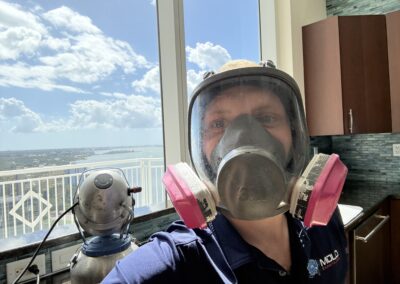 Mold Remediation Clearwater Florida