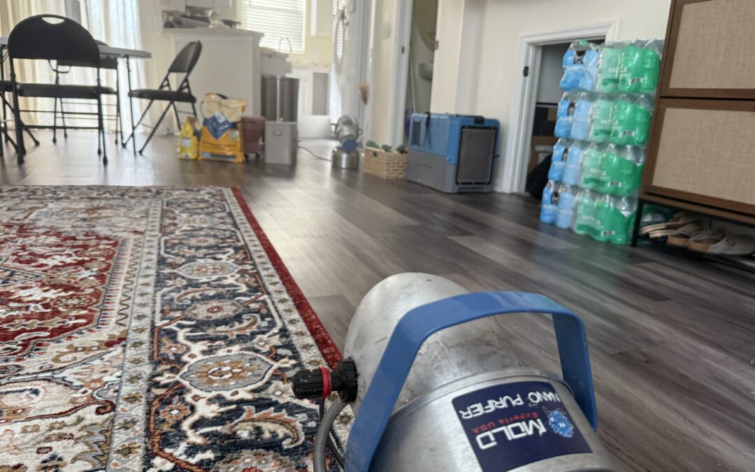 What is the difference between Smart Nano Purification and Fogging?