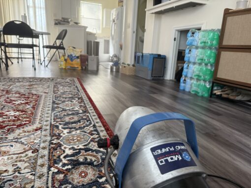 Buying or Selling a Home? The Role of Residential mold remediation Services in Real Estate Buying or Selling a Home? The Role of Residential mold remediation Services in Real Estate