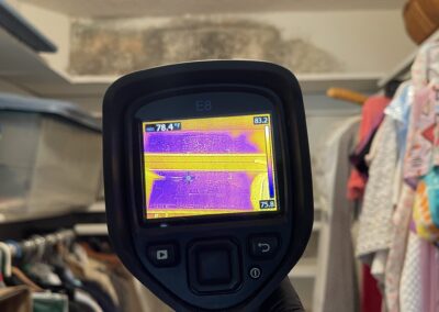 Mold Remediation and Water Damage