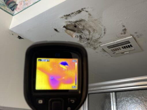 How Do I Know If I Have Mold in My Home? How Do I Know If I Have Mold in My Home?