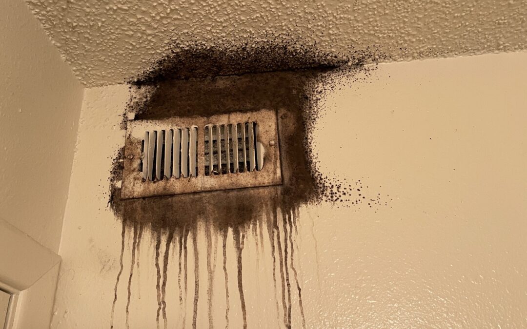 Can Your AC Filter Reduce Mold Spores?