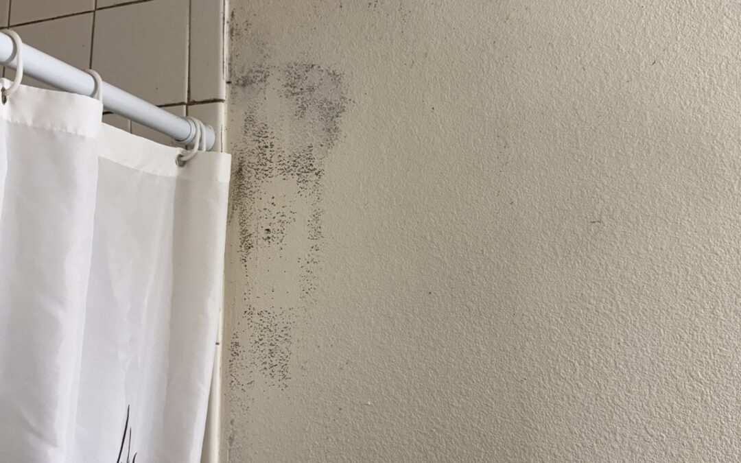 Moldy Shower
