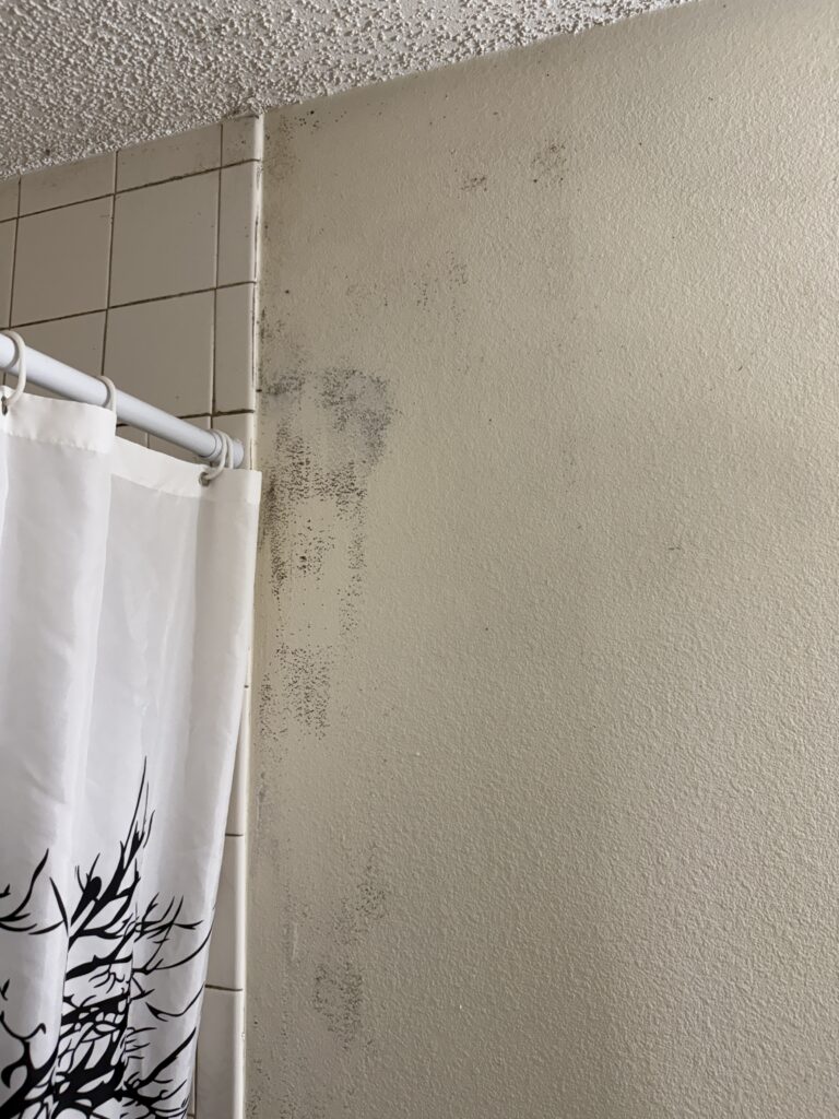 Tarpon Springs FL Mold Problem Moldy Shower