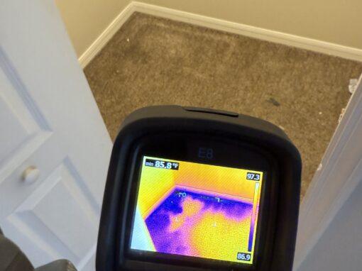 Mold Behind Walls: How to Detect It Before It Gets Worse