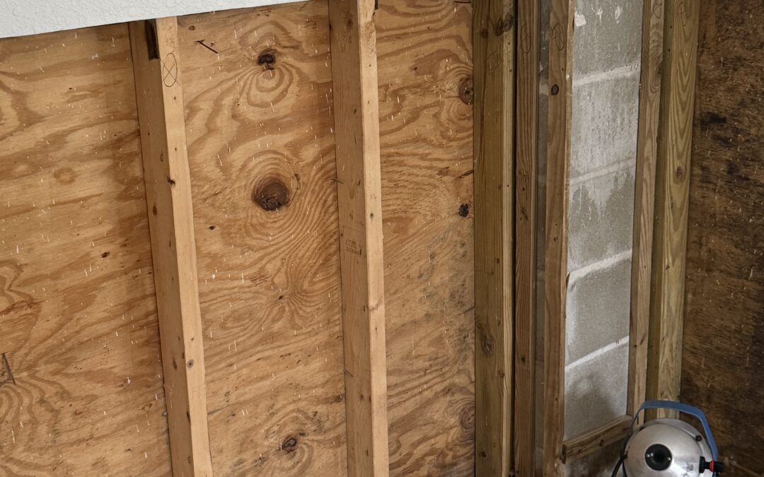 What are the Professional Mold Removal Methods?