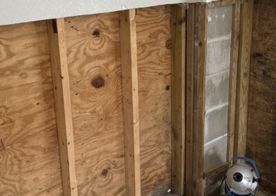 Mold Remediation, Water Restoration