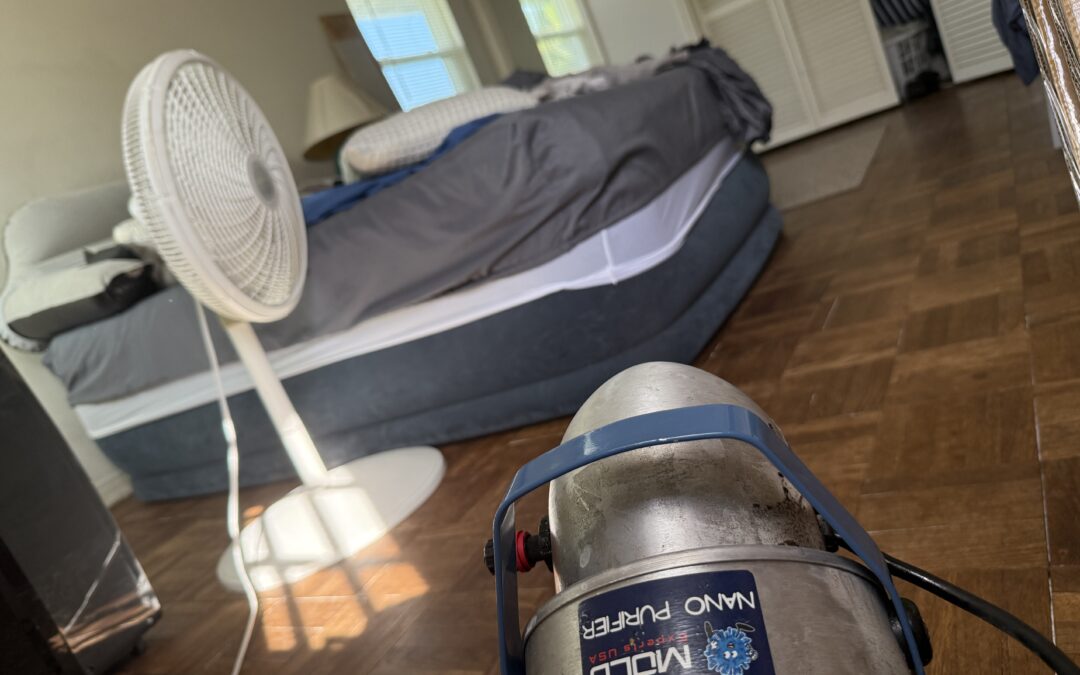 Should I cover the furniture and clothes?