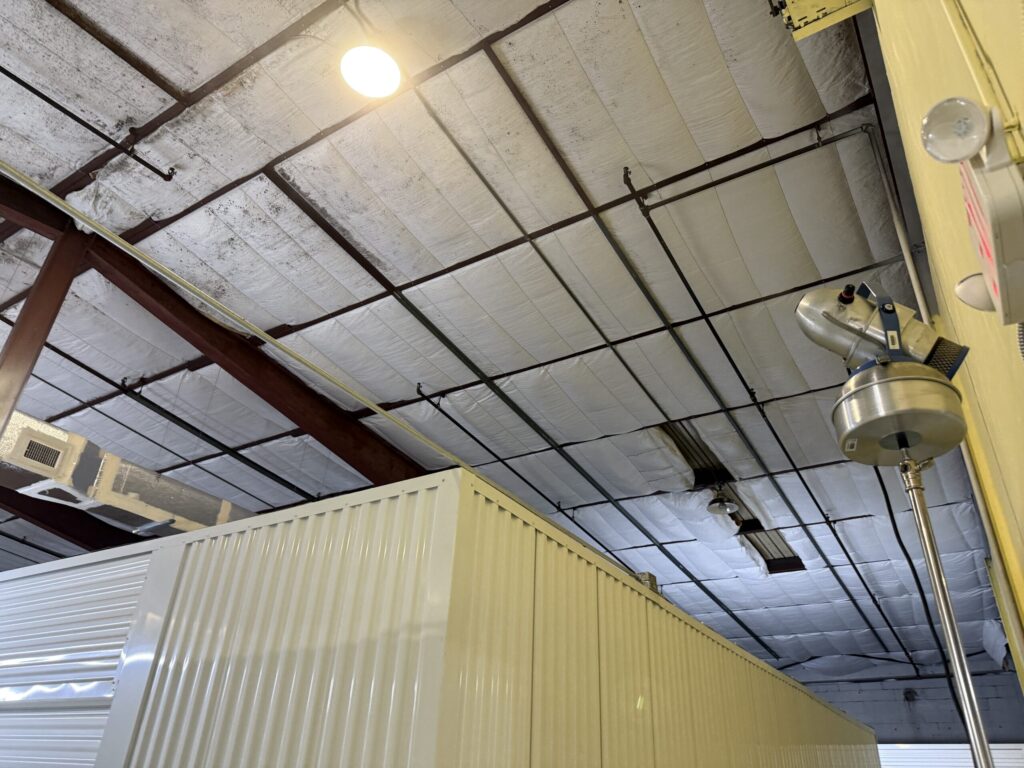 20250819_202806182_iOS-scaled Commercial Mold Remediation