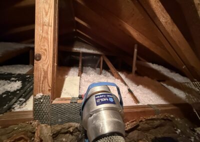 Attic Mold Remediation