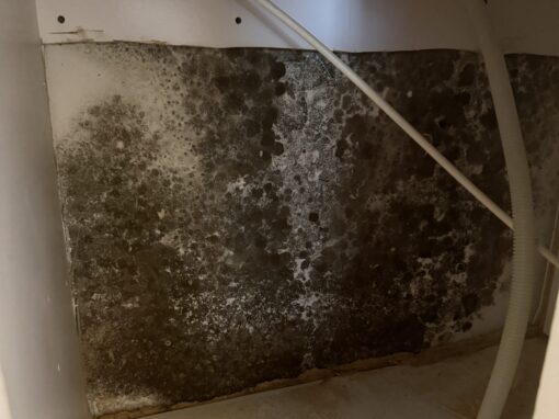 Winter Weather Affects Mold Air Quality Testing for Hidden Mold Winter Weather Affects Mold Air Quality Testing for Hidden Mold