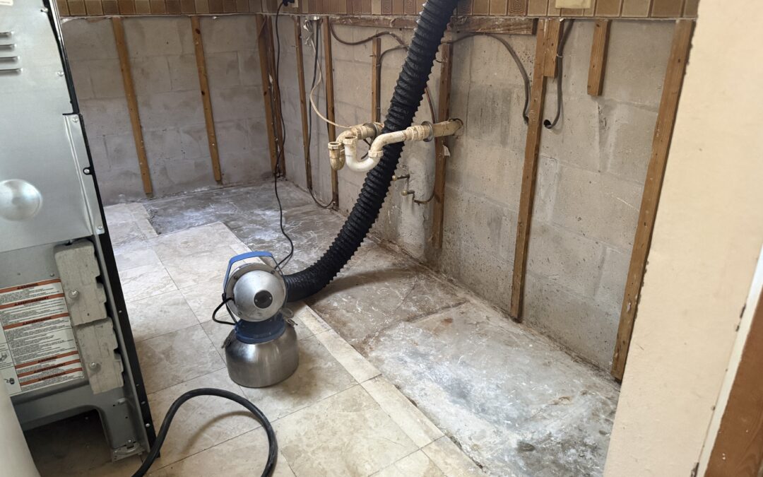 How Much Does Mold Remediation Cost?