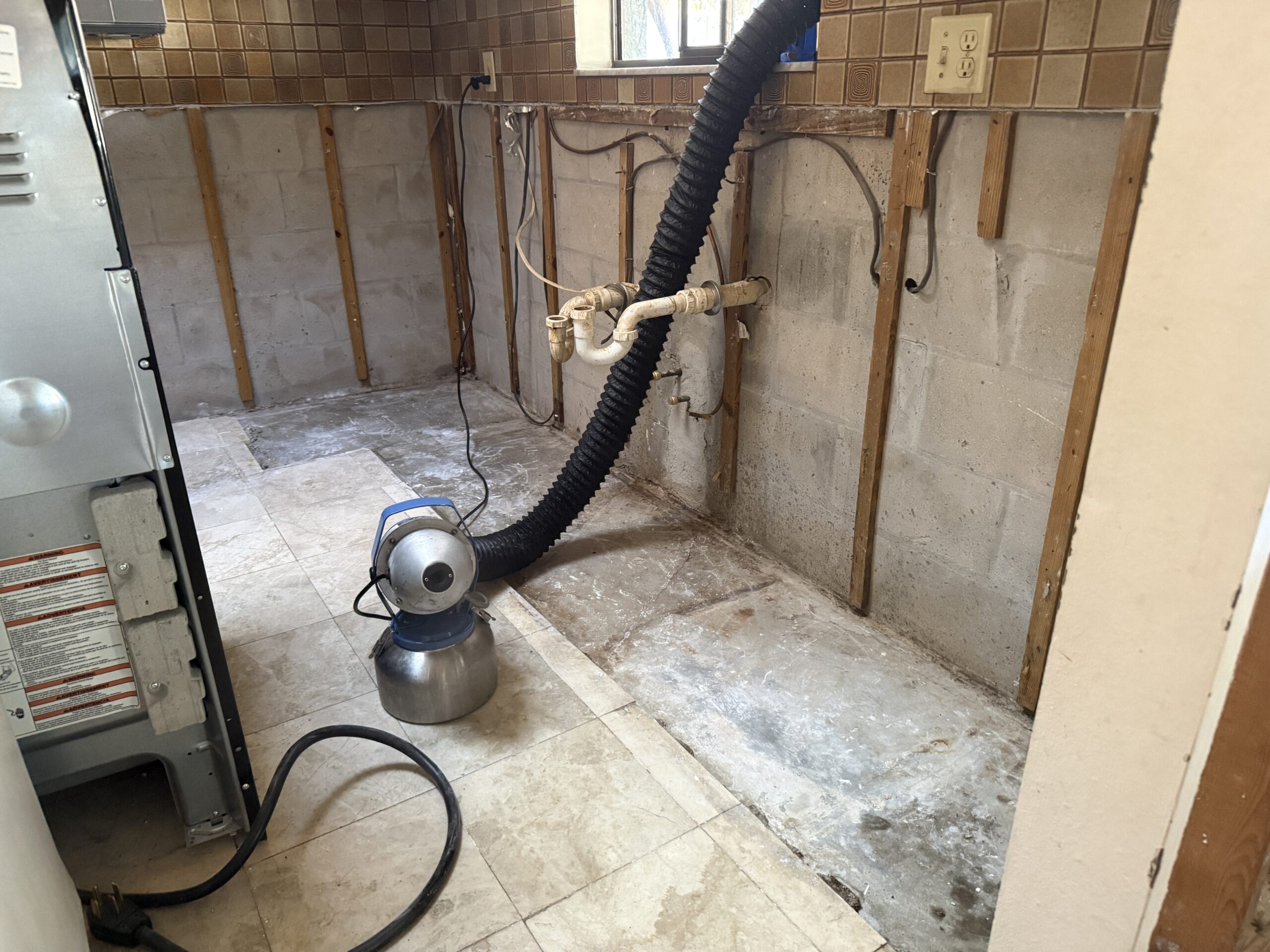 20251210_181915557_iOS Mold Remediation