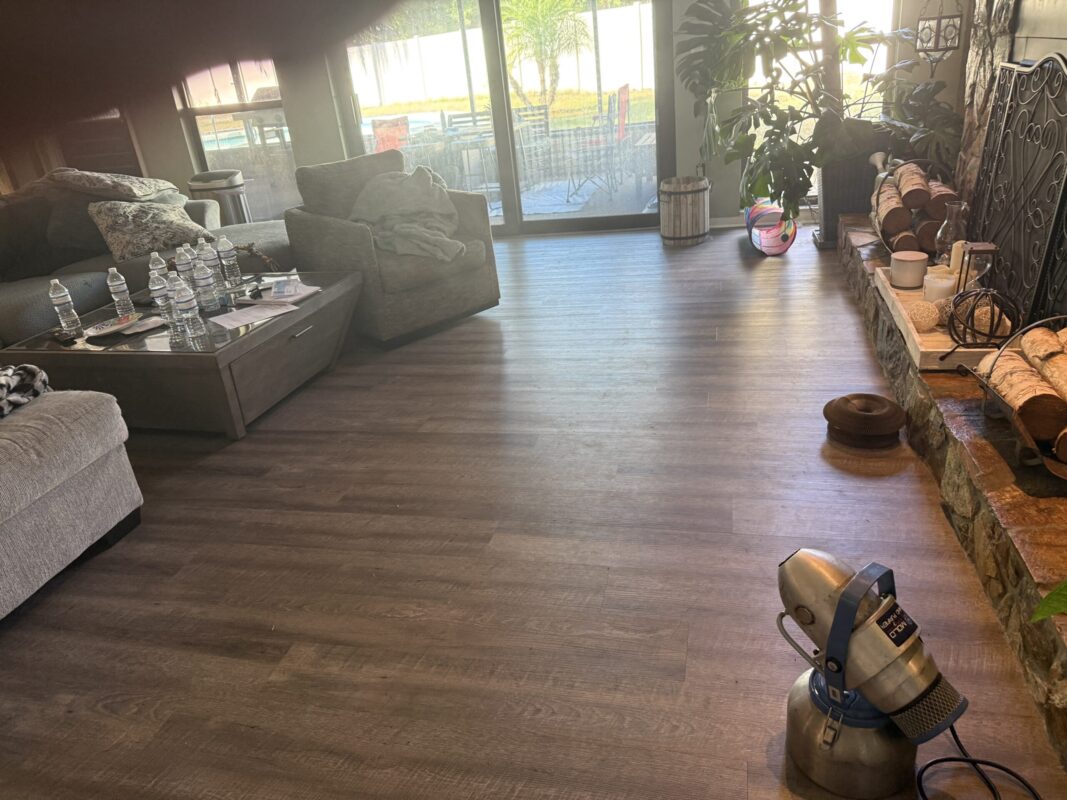 20251210_181957705_iOS Mold Remediation