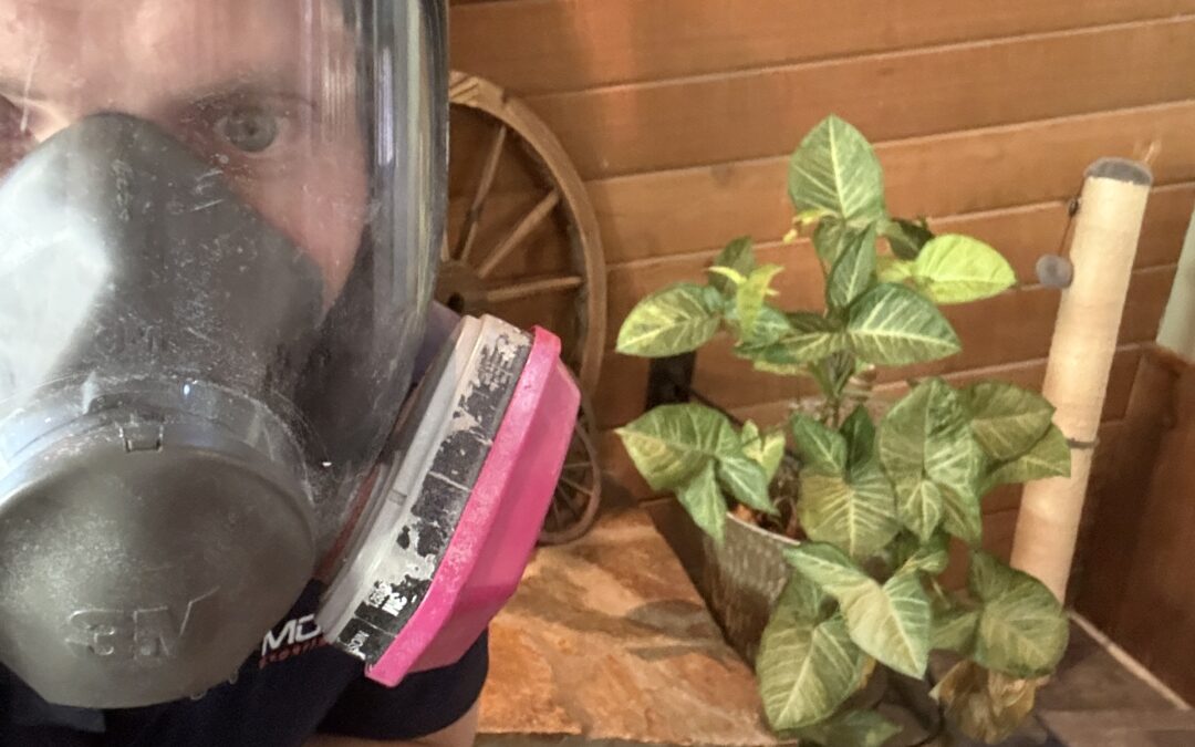 About Us - Mold Remediation