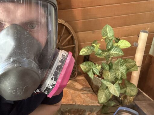 The Future of Mold Remediation: How Cutting-Edge Technology Is Revolutionizing the Industry The Future of Mold Remediation: How Cutting-Edge Technology Is Revolutionizing the Industry