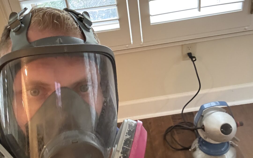Mold Remediation Job Photo