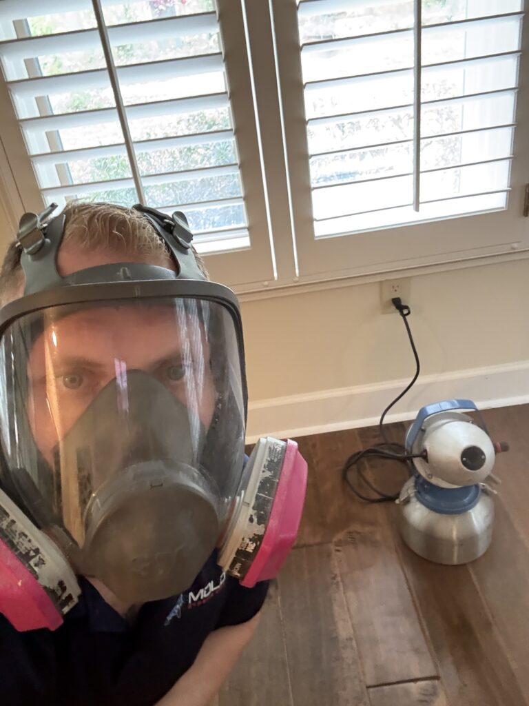 Mold Remediation Job Photo