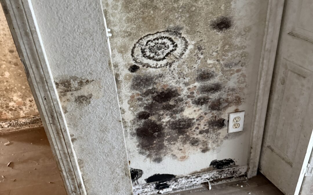 Why Don’t Others Offer Your Guarantee?