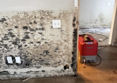 Mold Remediation/ Water Restoration
