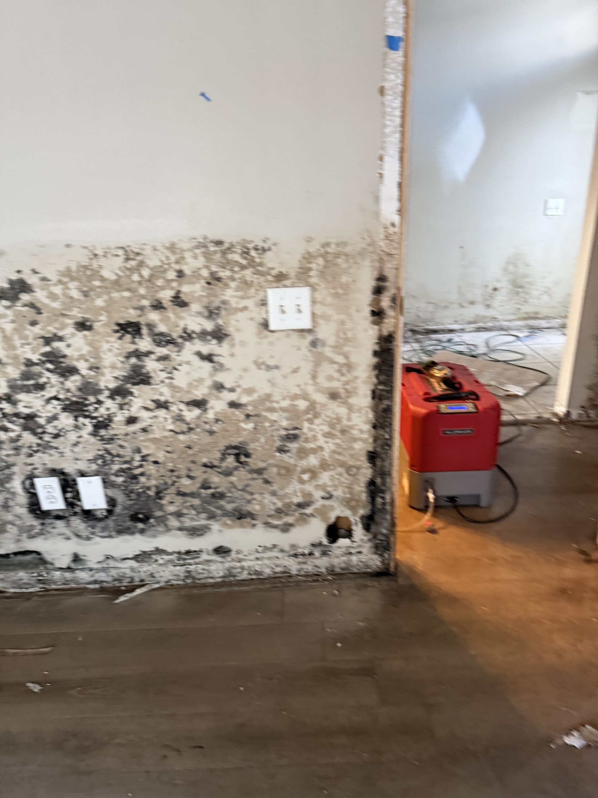 20251223_201341665_iOS Mold Remediation/ Water Restoration
